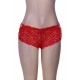 Red Sexy Strappy Floral Lace High Waist Panty