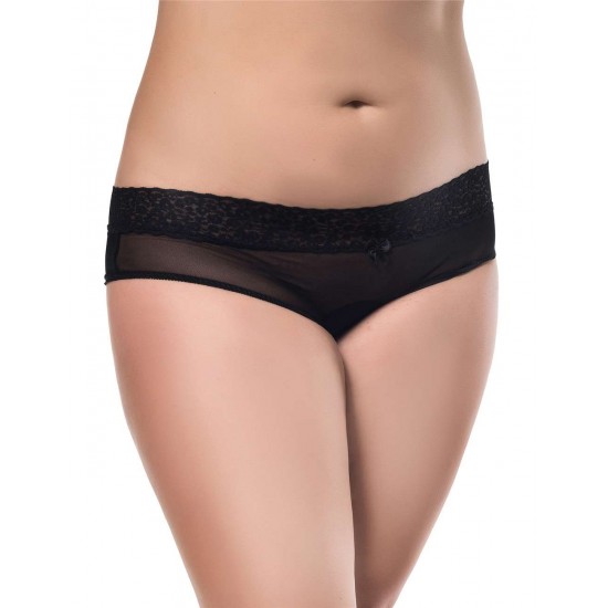 Plus Size Sexy Holiday Peek A Boo Back Mesh Crotchless Valentines Panty