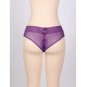 Plus Size Sexy Holiday Peek A Boo Back Mesh Crotchless Valentines Panty