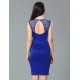 Blue Deluxe Decals Fashion Dress Lace Bodycon