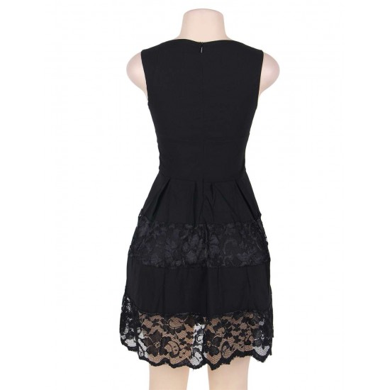 Plus Size Lace Mesh Sleeveless Pleated Black Skater Dress