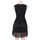 Plus Size Lace Mesh Sleeveless Pleated Black Skater Dress