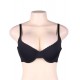 Black Smooth Seamless Push Up comfortable T-shirt bra