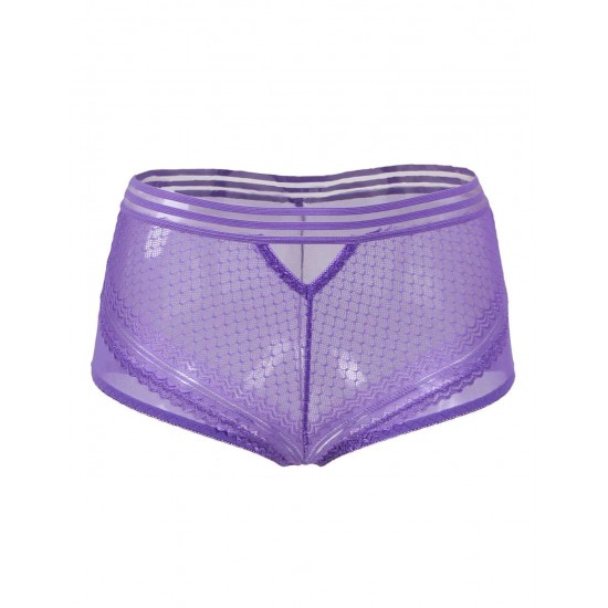 Plus Size Sexy High Waist Perspective Panty