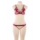 Plus Size Elegant Embroidery Fashion Bra Set